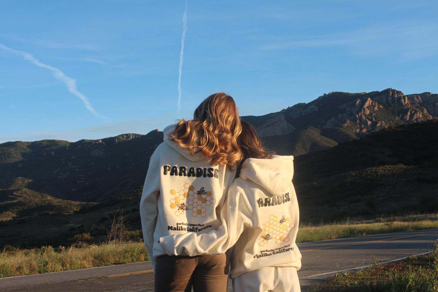 Luxe Honeycomb Embroidered Hoodie