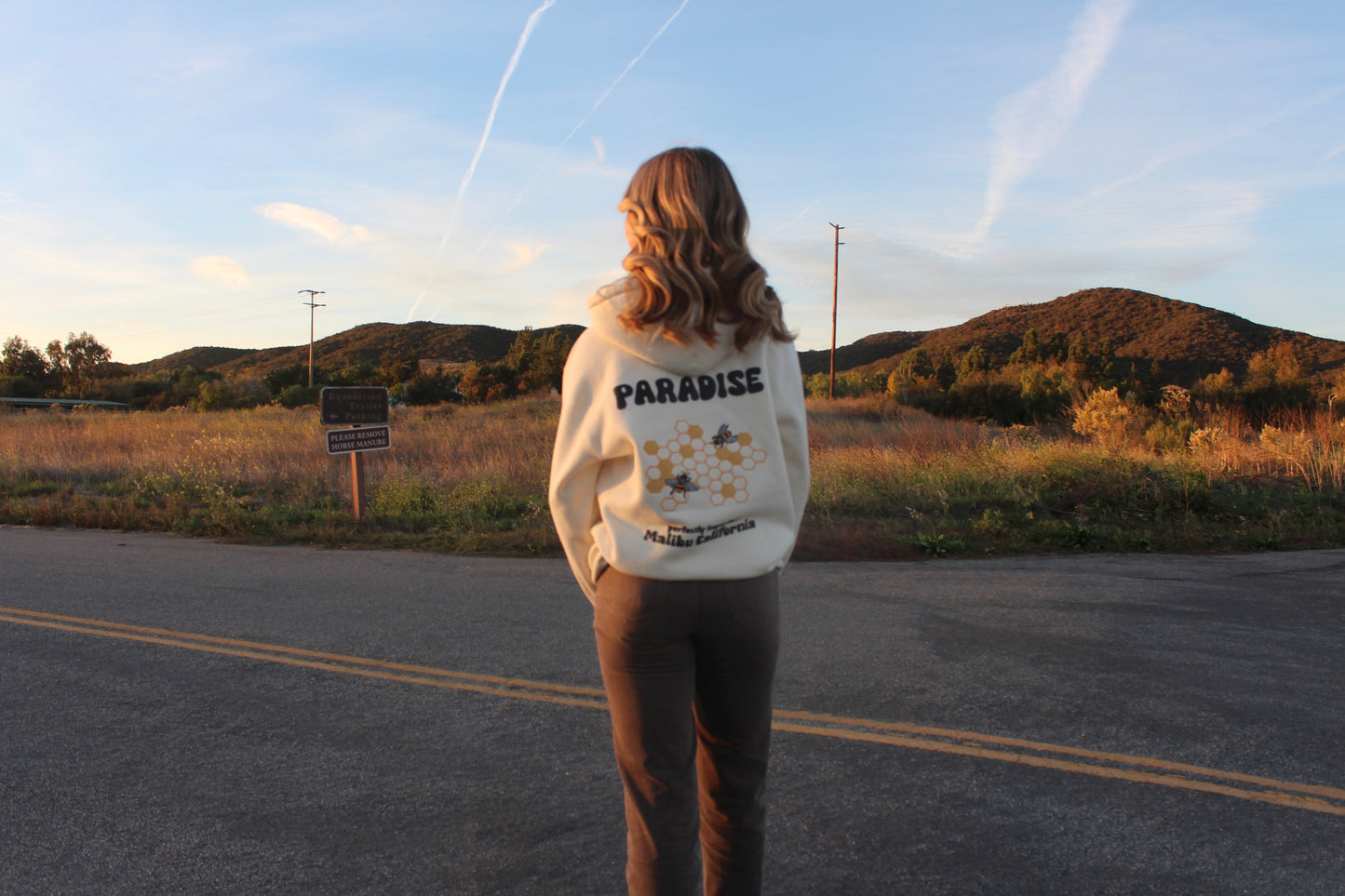 Luxe Honeycomb Embroidered Hoodie